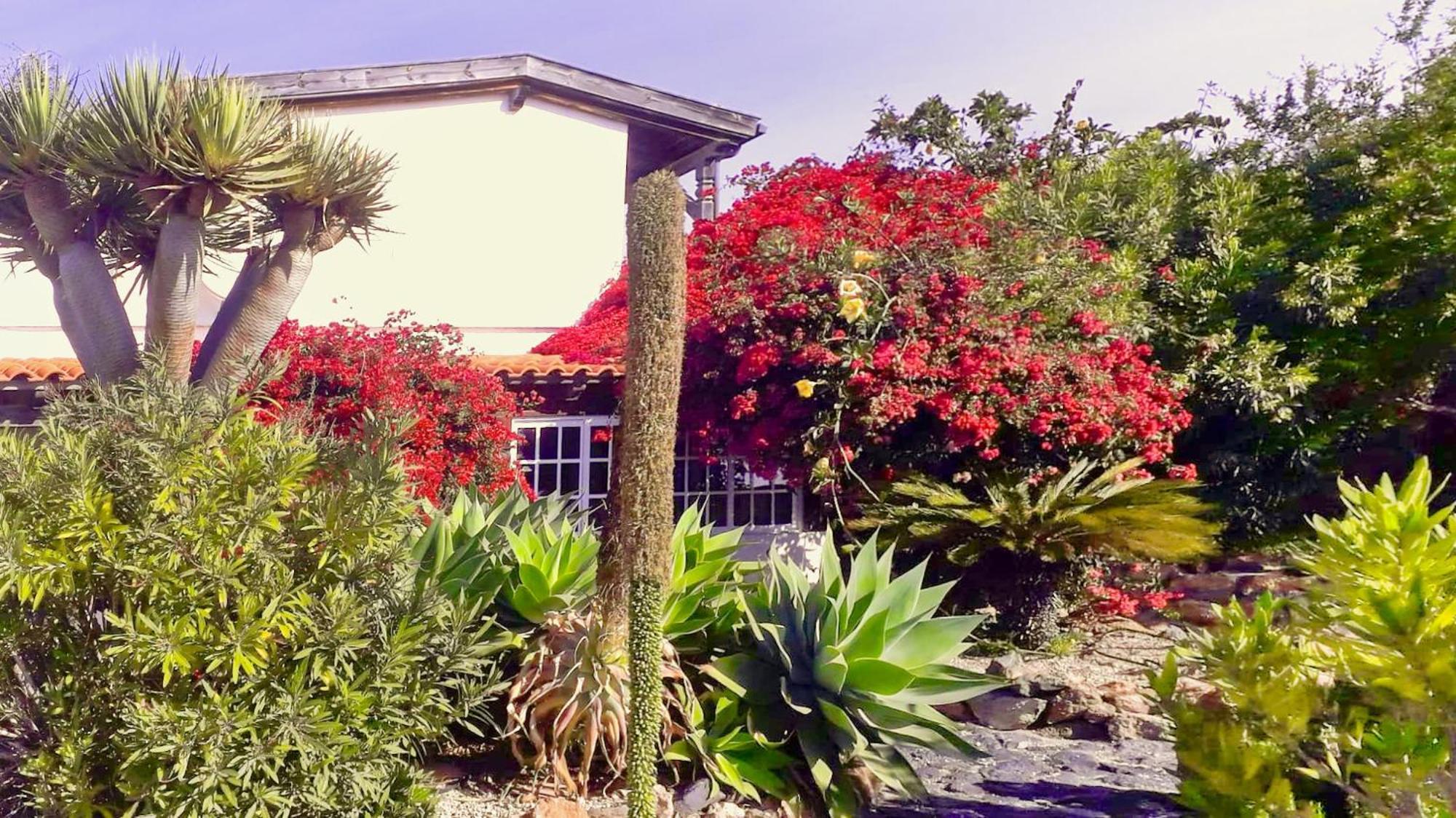 -Casa Azul-Arico Viejo La Sabinita - Baden, Wandern, Klettern, Individualurlaub Jenseits Des Massentourismus, Vila Exterior foto