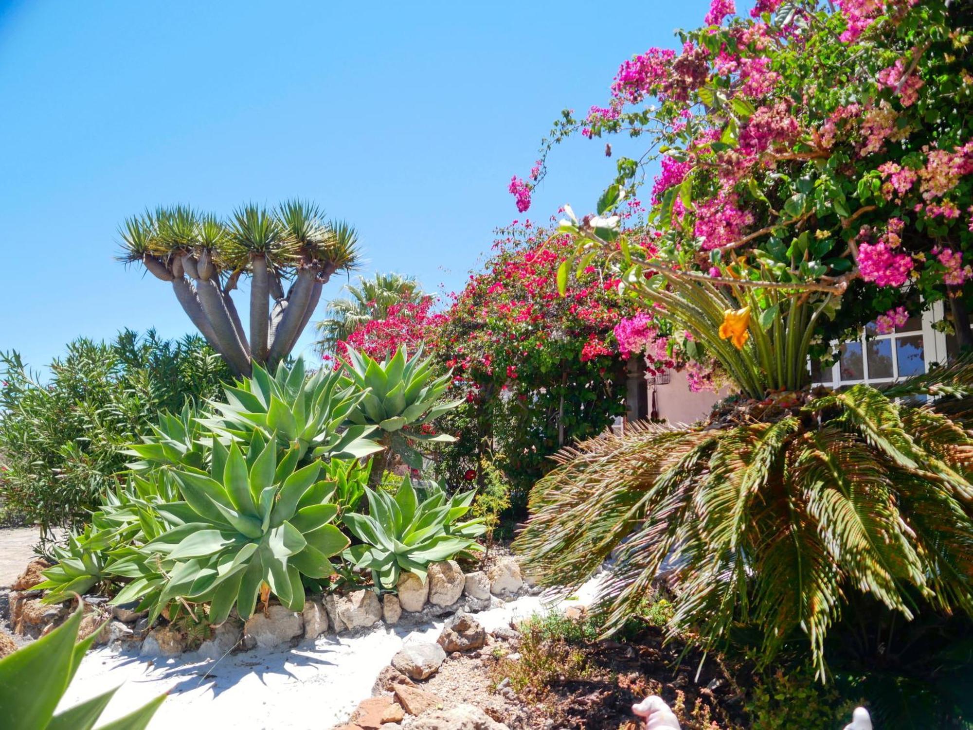-Casa Azul-Arico Viejo La Sabinita - Baden, Wandern, Klettern, Individualurlaub Jenseits Des Massentourismus, Vila Exterior foto