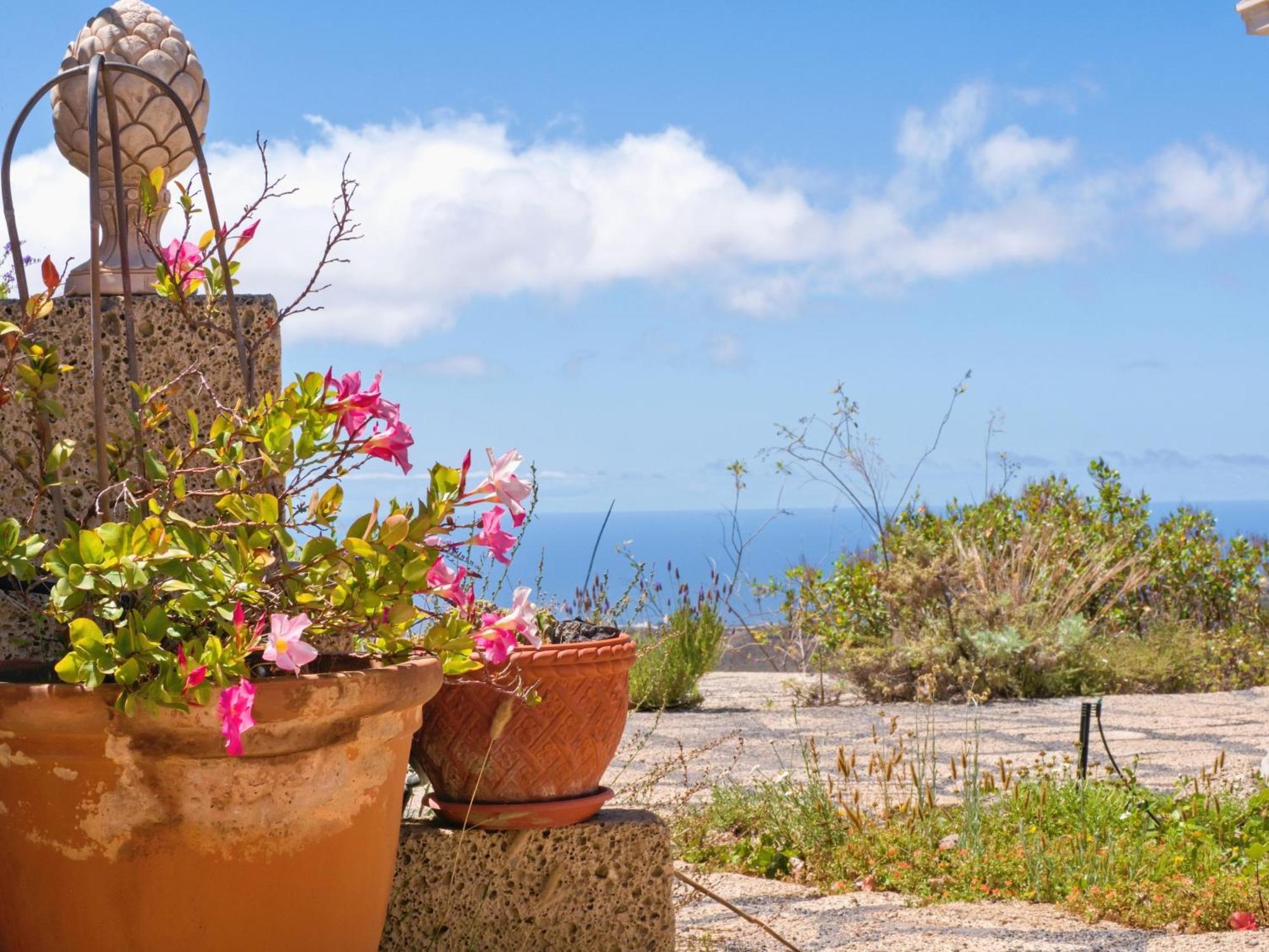 -Casa Azul-Arico Viejo La Sabinita - Baden, Wandern, Klettern, Individualurlaub Jenseits Des Massentourismus, Vila Exterior foto